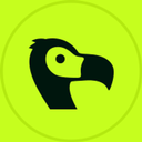 Dodo Payments icon